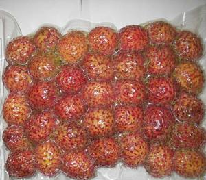 เงาะสดเงาะสดผลไม้-ปอกเปลือกเงาะสดเวียดนามเงาะสด - Product Image 5