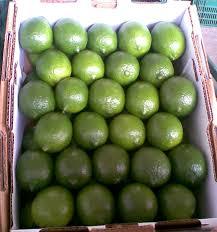LIME FRAIS DU VIETNAM EN GROS À PRIX BON PRIX - Product Image 2
