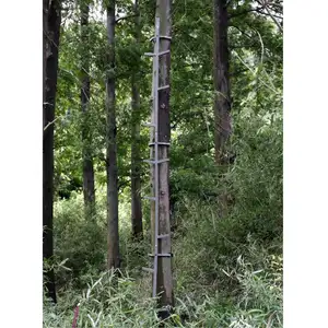 סולם עץ Stand/עיוור/טיפוס ציד מקל עבור חיצוני ציד