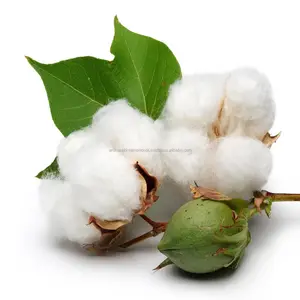 Aceite de algodón, al mejor precio, india