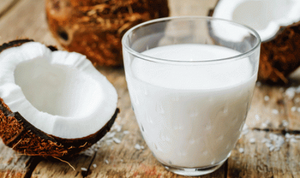 LAIT DE NOIX DE COCO EN CONSERVE BIOLOGIQUE DE HAUTE QUALITÉ SANS PRODUITS LAITIERS OFFRE EN VRAC AU MEILLEUR PRIX FABRIQUÉ AU VIETNAM- M. Pierre Luu - Product Image 2