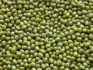Wholesale Price of Dried Natural Green Mung <b>Beans</b> / Bulk Packaging Export Quality Large Quantity Available - Product Image 2