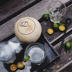 ราคาที่ดีที่สุดสำหรับมะพร้าวสด (WHATSAPP + 84 845 639 639) - Product Image 1