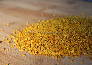 Pólen de Abeja de Alta Pureza, Grado Premium, Envasado al Vacío, Certificado HACCP e ISO Ordene Ahora - Product Image 5