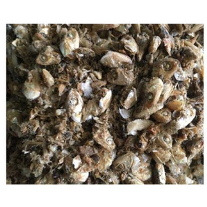 ANCHOVIES SÉCHÉES DE QUALITÉ SUPÉRIEURE - Product Image 4