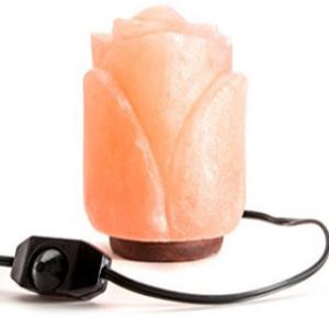 โคมไฟหินเกลือหิมาลัยสไตล์ฮวงจุ้ยตกแต่งบ้านโคมไฟดอกไม้ - Product Image 1