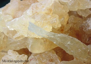 หมากฝรั่ง/หมากฝรั่งคารายา/หมากฝรั่ง - Product Image 4