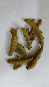 Cúrcuma entera seca para importadores de Vietnam - Product Image 4