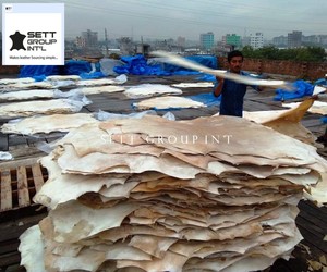 Tambor de piel de vaca Cuero genuino Instrumentos musicales crudos - Product Image 5