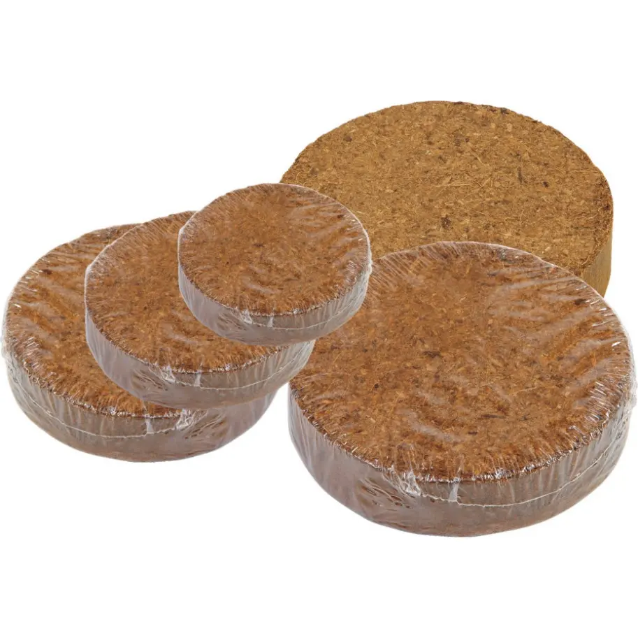 Palhetas de coco, planta de peat jiffy, pith de coir