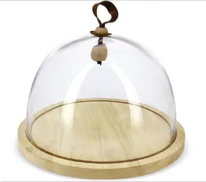 Dia.27cm Decorative display wholesale glass cloche dome with rope handle and wood base SGS certification