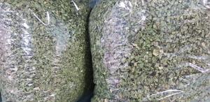 <b>DRIED</b> SCALLION - FRESH SCALLION - <b>Dried</b> Green Scallion - Product Image 3