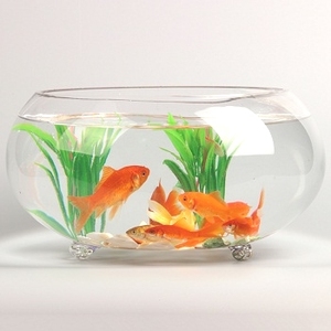 Aquarium en verre TRANSPARENT SIMPLE et créatif, confort des poissons - Product Image 6