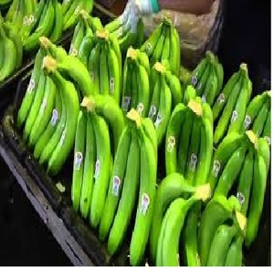 Low Price <b>Fresh</b> Green Cavendish <b>Banana</b> Exported Standard 2022 - Product Image 2