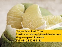 Verse Pomelo Citrus Fruit Witte Pulp/Roze Pulp Gemeenschappelijke