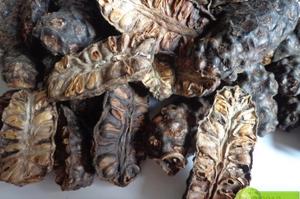 NONI SÉCHÉ DE HAUTE QUALITÉ FABRIQUÉ AU VIETNAM - Product Image 3