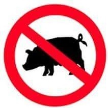 Ahuyentador de Aves Mecánico AGRIPROF, Cañón de GLP (AGRI M1) (Ahuyentador de Aves, Control de Aves, Control de Plagas, Cañón de GLP) - Product Image 4