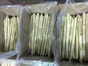 Canne à sucre congelée (qualité alimentaire 44-48 cm) du Viet Nam (Sarah + 84376540581) - Product Image 6