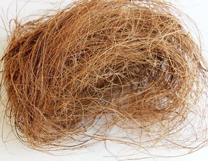 เส้นใยกาบมะพร้าว - Product Image 3