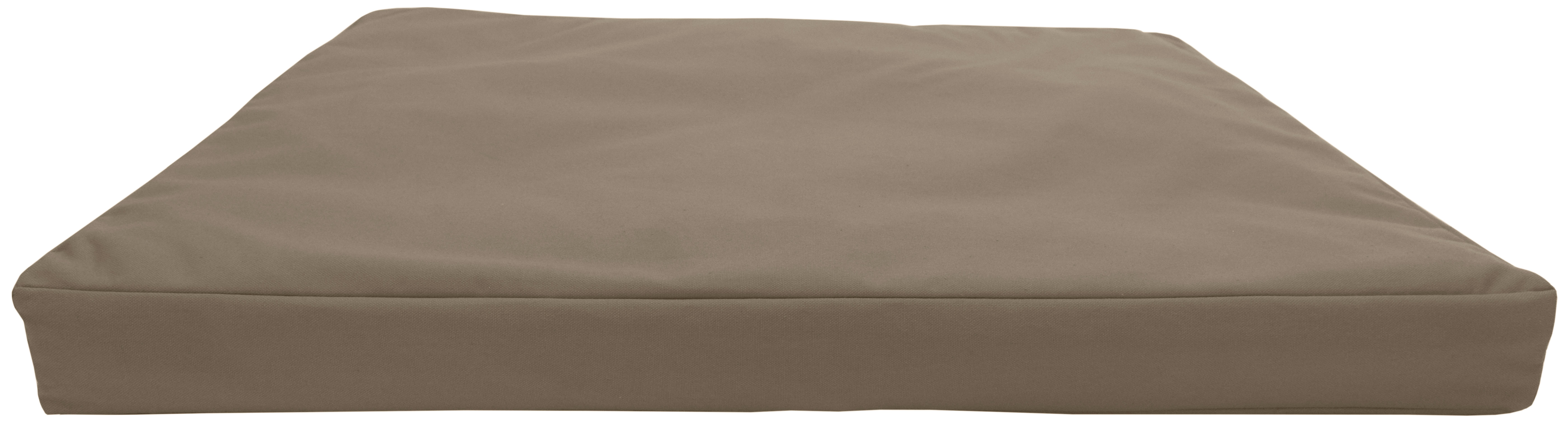 Kaki