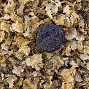 Trufa italiana de TARTUFI en rodajas secas, en blanco o negro, aditivos para alimentos a granel - Product Image 2