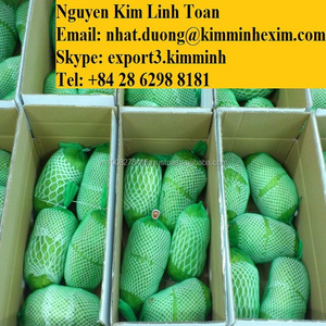 เกรด A สีเขียวสด Graviola ผลไม้ที่มีราคาถูก - Product Image 2