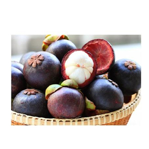 FRUTA DE MANGOSTEEN ORGÁNICA/FRESCA Y DELICIOSA en VIETNAM 2020 - Product Image 2