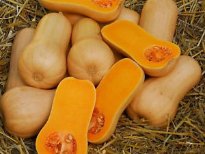 Emballage sous vide le moins cher, Cucurbita moschata 2020 - Product Image 6