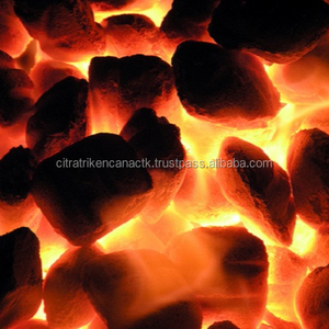 BEST SELLER IN UAE PRICE PER KG CHARCOAL FOR EID AL FITR CHARCOAL GRILL CHARCOAL COCONUT SHELL CHARCOAL LUMP CHARCOAL - Product Image 1