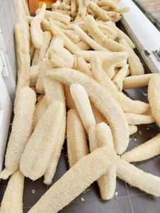 LUFFA naturel du VIETNAM, disponible en plusieurs tailles, très bas prix, livraison gratuite - Product Image 6