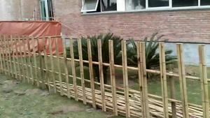 Valla de Bambú para Jardín de Vietnam - Precio Económico - Sra. Holiday - Product Image 3