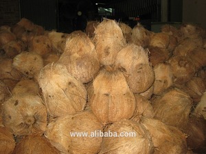 De coco semi descascarillado/semi descascarillado de coco - Product Image 2
