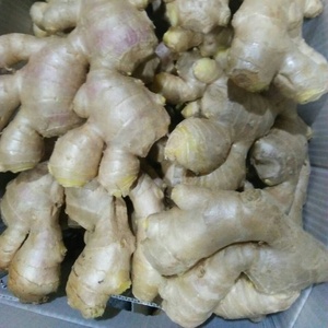 Đặc Điểm Gừng Tươi Và Khô (Thị Trường Anh) - Product Image 6