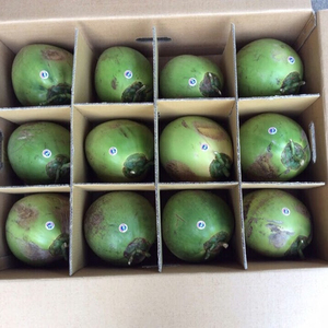 Pendentif en diamant de noix de coco, le meilleur prix - Product Image 1