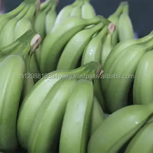 Boneca verde fresca plantar e banana