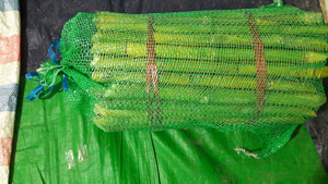 Caña de Azúcar Orgánica Congelada, Caña de Azúcar Pelada - Product Image 5