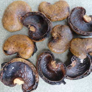 Best Price Cashew <b>Nut</b> Shell Residue/ Cashew Shell - Product Image 2