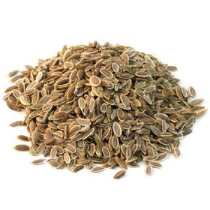 Aceite Esencial Puro de Semilla de Diente de Hinojo y Árbol de Té, Certificado GMP, para Masajes Corporales, Fabricación de Velas, Uso en Té y Cuidado de la Piel, Suministro Directo de Fábrica al Por Mayor - Product Image 3