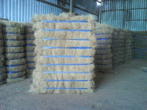 Fibra de Coco de Baja Humedad, Precio Económico, Proveedor Vietnamita de Fibra de Coco Seca de Baja Humedad - Product Image 2