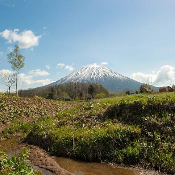 니세코 부동산, 부동산, 토지 in Japan 카이도 일본