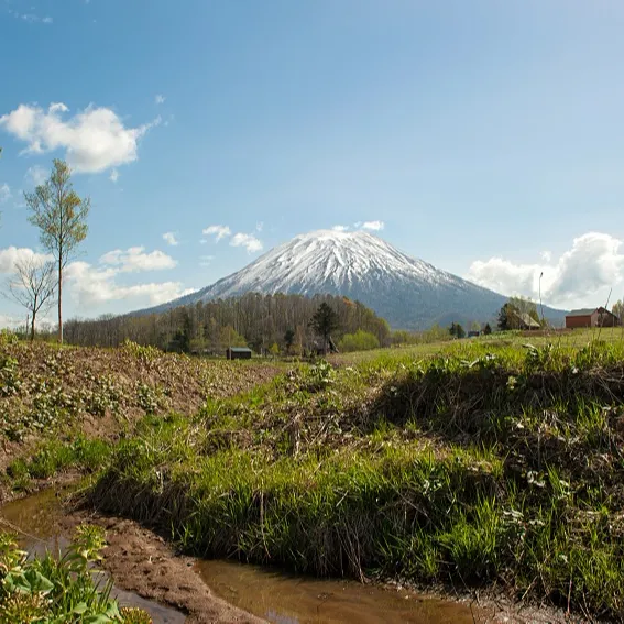 Niseko रियल एस्टेट, संपत्ति, होक्काइडो में भूमि जापान