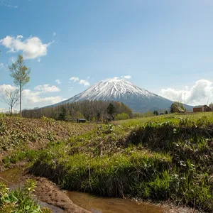 日本のニセコ不動産・不動産・土地