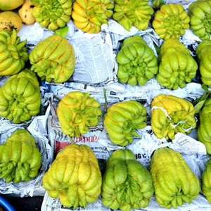 Buddah Fingers ส้ม - Product Image 2