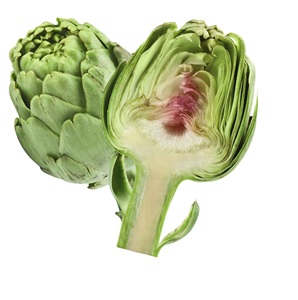 Fleur d'artichaut séchée Fleur d'Atiso séchée Ms Sophie - Product Image 1