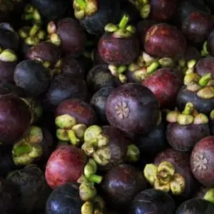 Mangosteen fresco