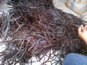 Wholesale Dried Vanilla <b>Beans</b>-Whole Extra Grade Gourmet Pods 16.5cm Long 25kg - Product Image 2