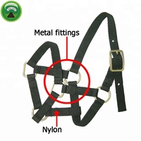 Accessoires de course de chevaux Collier de tête miniature Cuir Nylon Halter