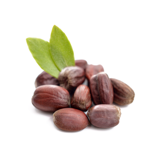 Jojoba-transportador de aceite de la mejor calidad de la India, proveedor de base de aceite, para aceite comercial - Product Image 4