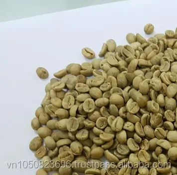 ベトナムウェットポリッシュクリーニング未洗浄アラビカロブスタグリーンコーヒー豆、新作物高品質