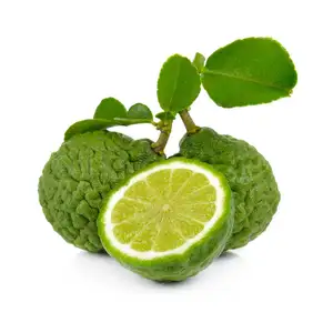 AARNAV GLOBAL EXPORTS Aceite Esencial Puro de Bergamota Prensado en Frío de Cáscara de Fruta Italiana a Precios de Mayoreo - Product Image 1